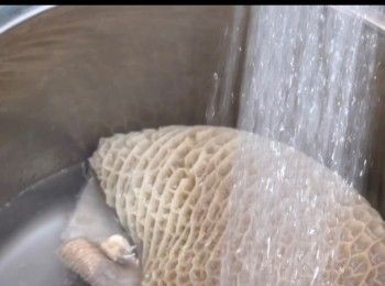 step5: 回頭看看金錢肚，已完成汆水。
將汆好水的金錢肚，放到水喉水中啤水一會兒，期間要將金錢肚清洗乾淨。