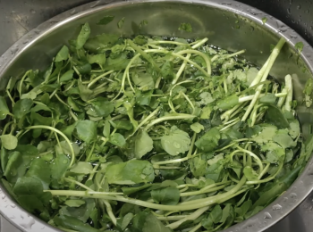 step1: 鹽水浸泡西洋菜至少10分鐘以上，摘掉老梗，再用水洗3-4遍