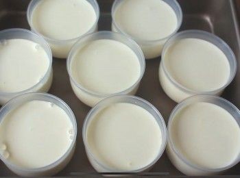 step4: 放涼後將牛奶布丁液平均倒入布丁杯蓋上蓋子然後放入冰箱冷藏一晚，隔天便可以享用