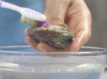 step3: 鮑魚仔用小刷刷洗淨，置碟上
Scrub abalone with small brush then place on plate.