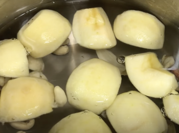 step3: 所有材料放壓力鍋，加水，大火煮，直到第一條壓力線出現，轉小火煮15分鐘即可關火