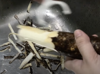 step1: 山藥洗淨，削皮