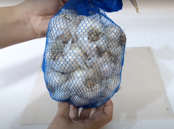 step1: 把蒜頭剝成一瓣瓣，洗淨