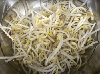 step2: 豆芽洗淨，摘掉尾部，泡水𥚃