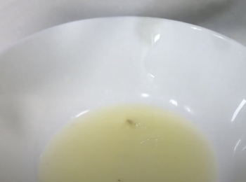 step2: 手動榨汁，過篩濾掉果核