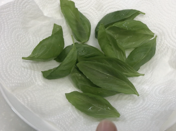 step1: 甜羅勒葉用水洗淨，抹乾