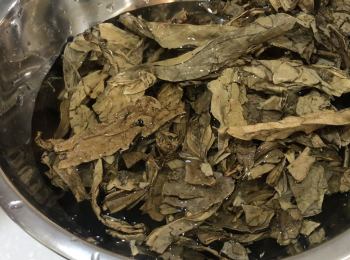 step1: 乾龍脷葉用水洗幾遍，洗到沒有沙石、其他枝葉為止