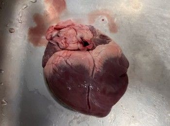 step1: 先清洗一下豬心表面。