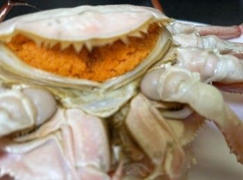 step2: 蟹先剪出蟹爪，打開蟹殼，去蟹胃和嘴，挖出蟹身蟹肉和蟹殼蟹膏混合壽司飯，再釀入蟹殼