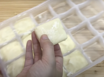 step6: 冷凍一晚再脫模