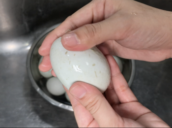 step4: 鴨蛋泡完醋水，擦去因化學反應產生的膜，用水清洗乾淨蛋殼，晾乾