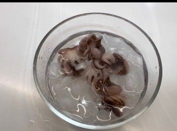 step4: 將煮好的八爪魚仔，隨即放於冰水中冰鎮15分鐘。