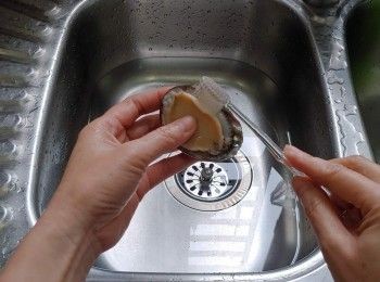 step2: 鮑魚用牙刷刷洗