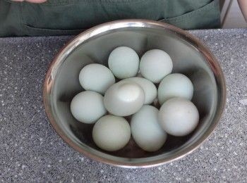 step2: 浸稀釋醋水30分鐘