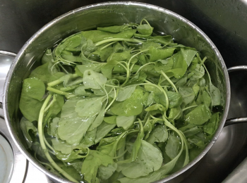 step1: 青莧菜剪掉根部，用水洗1-2遍，浸泡20-30分鐘，瀝乾