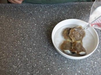 step1: 陳腎凍水浸軟