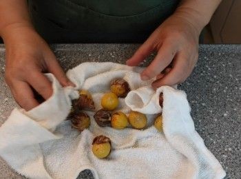 step2: 十分鐘後 取出一小部分 放在毛巾上 栗子還熱時可輕鬆去除外衣