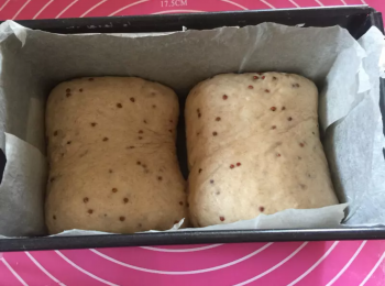 step6: 捲好後放入多士模中，等待最後發酵。
大約6-7分滿就可以預熱焗爐180度。