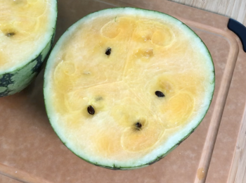 step1: 西瓜剖半，其中一半挖掉肉後留西瓜盅，另一半西瓜再挖1/4瓜肉