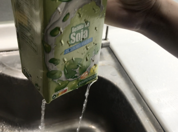 step4: 連續4天早晚一次加水，讓綠豆都有碰到水，之後一定要把水排乾淨