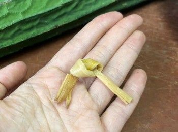 step3: 金針可以打結，讓它煮的時候不易散開。
