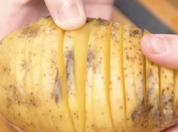step1: 先將薯仔切成一片片風琴狀
Slice the potato but do not cut till the end.