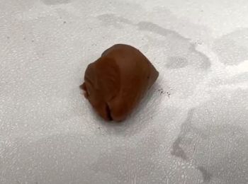 step5: 取10g白麵糰沾少許的可可粉拌勻備用。