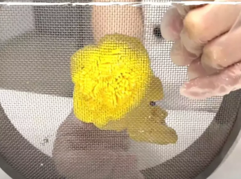 step10: 取一小團花蕊麵團壓穿過麵粉篩，形成細小的花蕊絲。