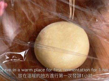 step12: 形成一個圓滑的麵團，放在溫暖的地方進行第一次發酵1小時。