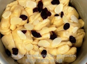 step21: 第二次發酵50-60分鐘