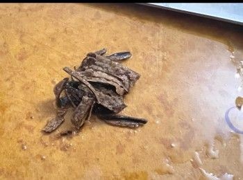 step5: 先放陳皮絲，滾起。