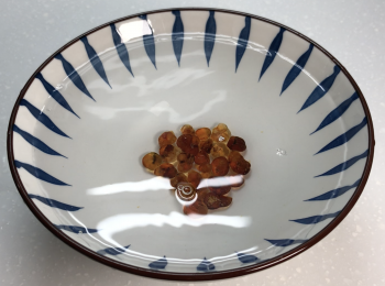 step1: 桃膠用水洗淨，室溫水浸泡8-12小時