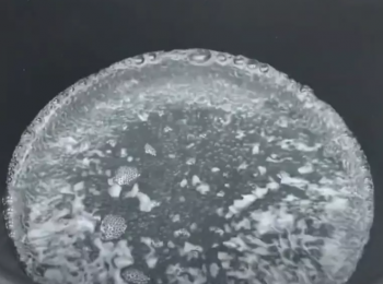 step1: 蒸籠大火加熱至沸騰。取水240倒入煮鍋中，加熱至滾。