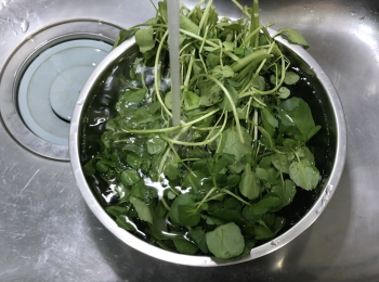 step1: 西洋菜先用水沖洗1-2分鐘，再用鹽水浸泡10分鐘以上，之後洗3-4次
，摘掉老梗，太長可以摘短一些