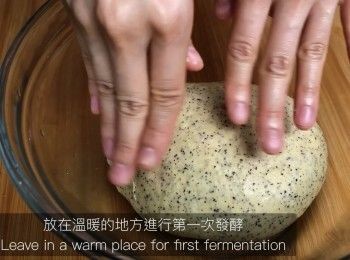 step17: 