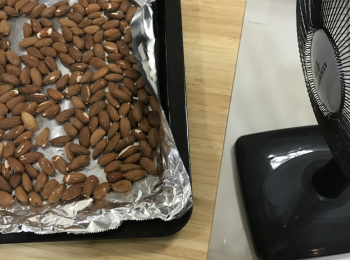 step4: 用風扇降溫，剛焗完的杏仁較軟，放涼後才會變脆