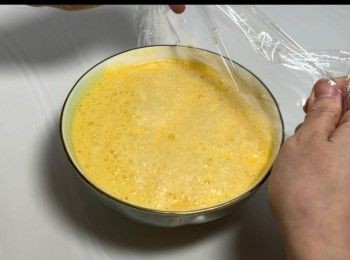 step8: 成功發酵的狀態是<span class="group_2">麵糊</span>表面出現大量輕盈的氣泡。