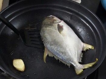 step3: 下油爆香薑，下魚煎，輕壓，反轉繼續煎至金黃，取出魚。
Heat the oil, fry the ginger until fragrant, then put the fish in pan, fry until both sides are golden brown, gently press, flip and continue frying, take out.
