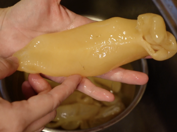 step1: 前一晚浸發花膠，浸發花膠的步驟可參考以下影片：https://youtu.be/AXSeyaCuPfQ