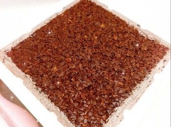 step10: 蓋上保鮮紙，放進冰格冷凍至少5小時至硬身，脫模，即可