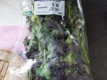step1: 紫西蘭花浸泡洗淨切段。牛肉粒以豉油，糖和粟粉稍醃。洋蔥切絲。蘑菇潔淨後切片。