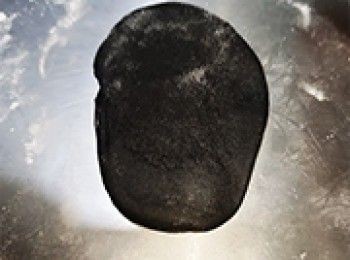 step22: [做法]手掌按平