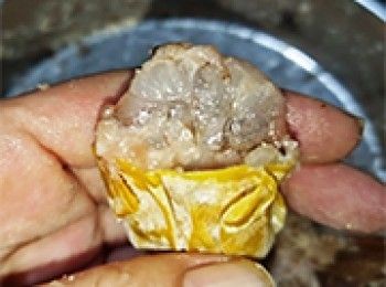 step11: 放入半粒蝦