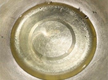 step5: 取出裝有蛋白的盆