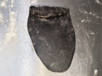 step25: [做法]卷起