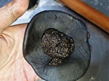 step30: [做法]加入芝麻餡，卷包法包起