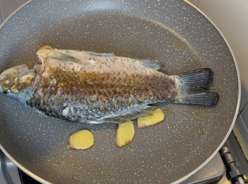 step2: 鰂魚處理乾淨後，抹乾水，用適量油爆香薑片，將鰂魚煎至两面金黄，將鰂魚入魚袋備用