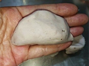 step27: 對摺收口