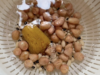 step1: 用水洗淨花生、眉豆和蜜棗，用水浸泡，蜜棗浸泡30分鐘後取出，花生和眉豆浸泡1-2小時，瀝水備用；陳皮洗淨，用水浸軟，陳皮刮囊，保留浸陳皮的水