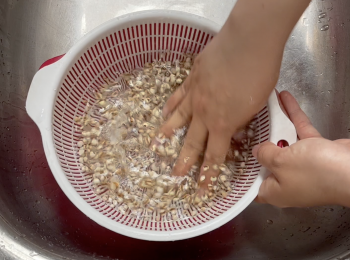step1: 生熟薏米和椰棗洗淨，用水浸泡，椰棗浸泡10分鐘即可，生熟薏米浸泡30分鐘，瀝水備用；洗淨腰果，浸泡半小時，瀝水備用